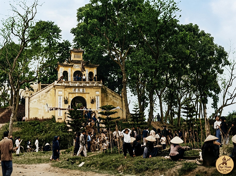 Thanh Ha Noi 1