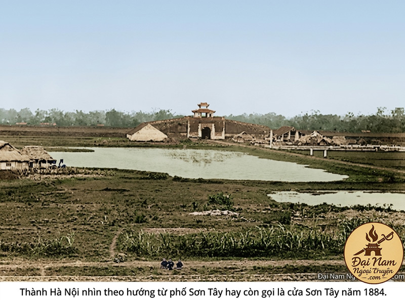 Thanh Ha Noi 5