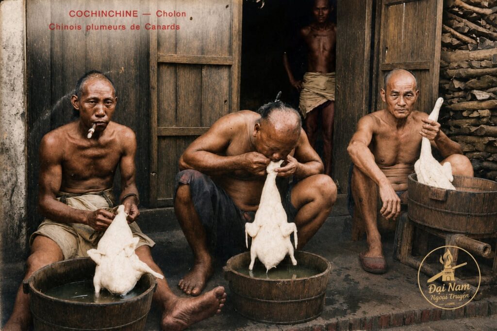 Người Hoa Ở Chợ Lớn – Nghề Vặt Lông Vịt